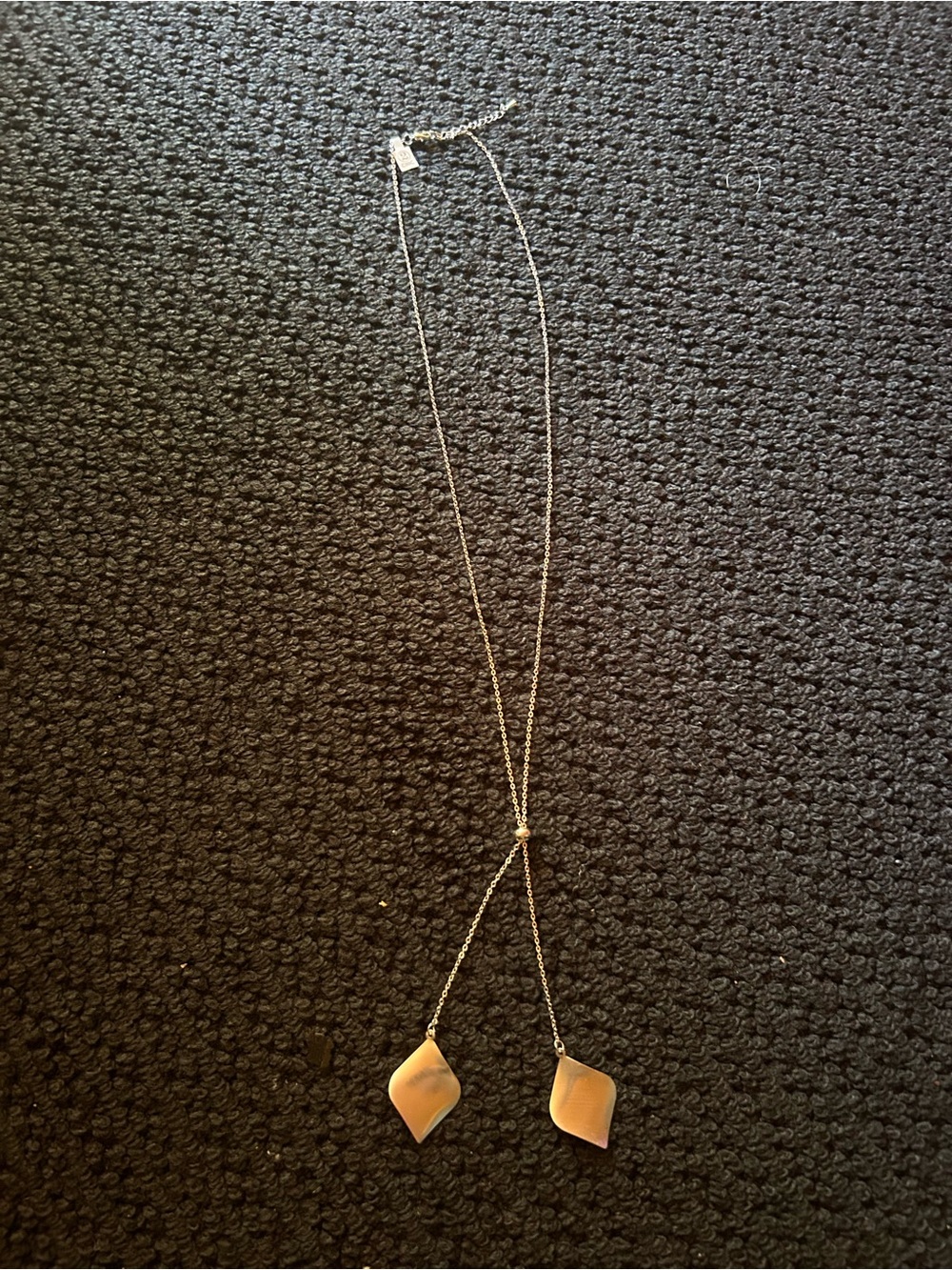 Delicate Brushed Silver Lariat Necklace with Charms